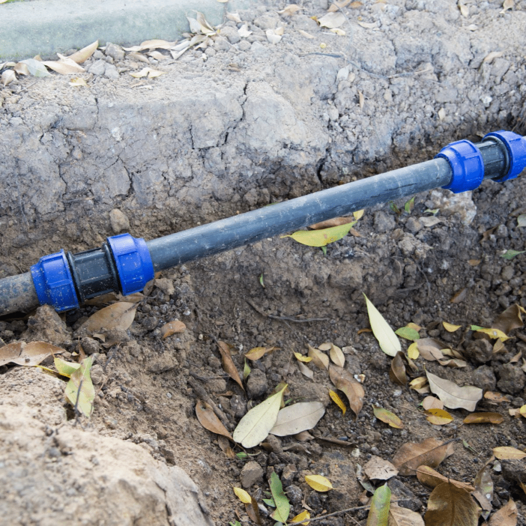 A section of an underground plumbing pipe with blue compression fittings, partially buried in soil and surrounded by dry leaves