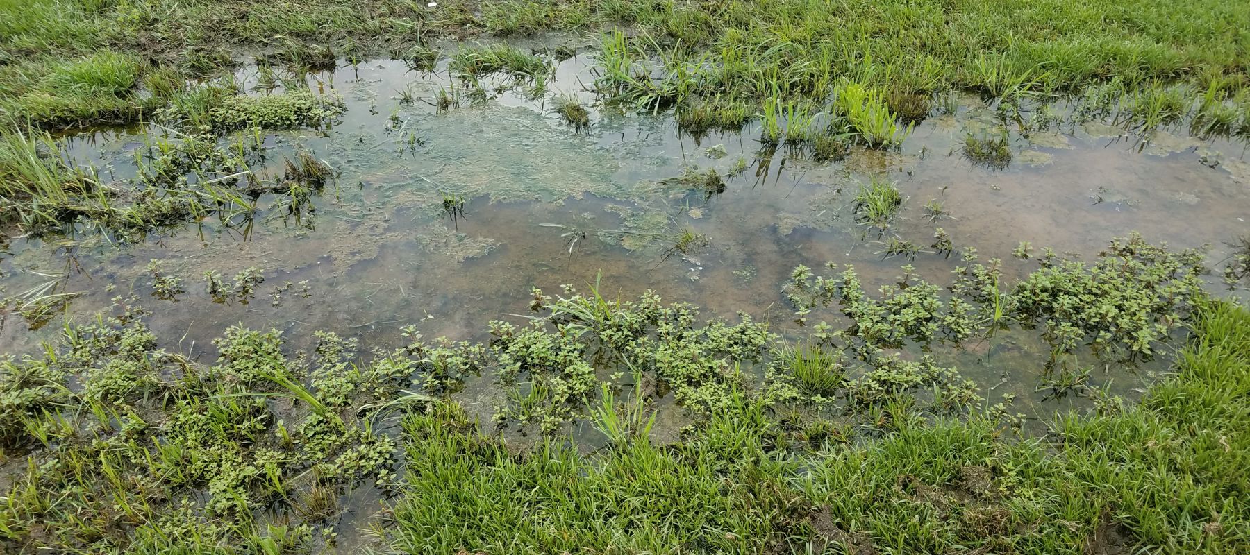 Is There A Water Leak In My Yard? Jim's Plumbing Now