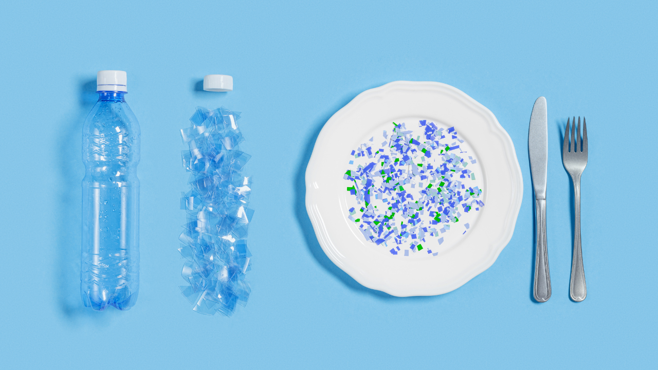 An image of a water bottle broken down on a dinner plate to depict consuming microplastics.